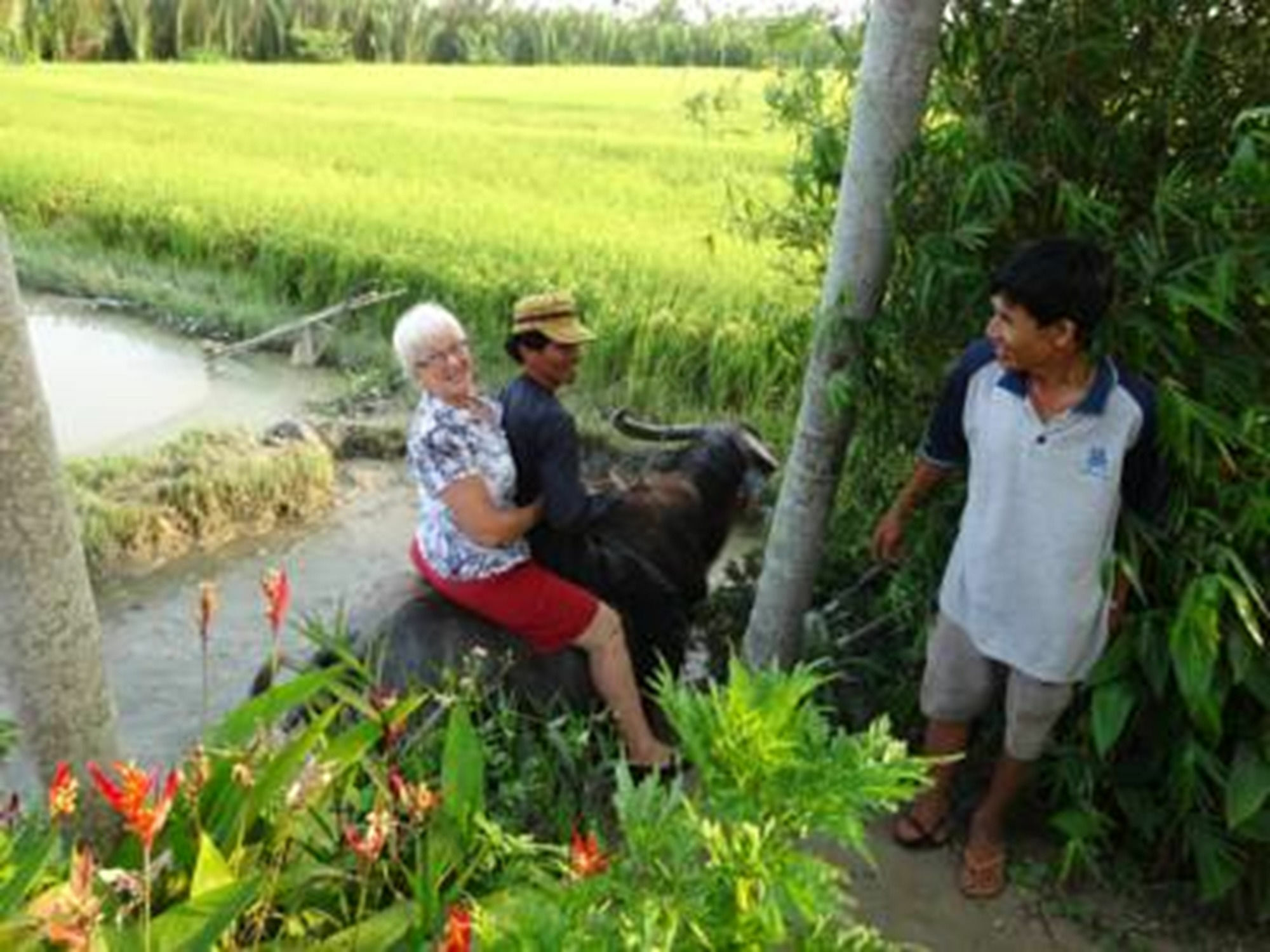 Hoi An Life Villa מראה חיצוני תמונה